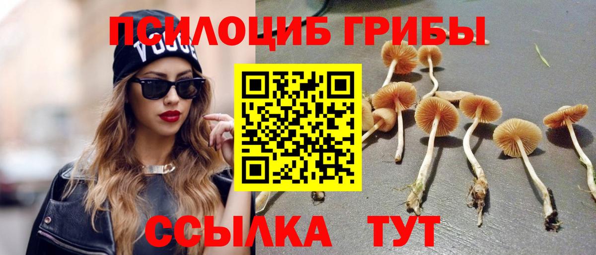 Псилоцибиновые грибы Psilocybe Куйбышев