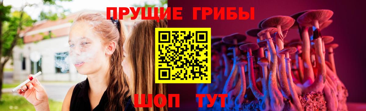 Псилоцибиновые грибы GOLDEN TEACHER  Псилоцибиновые грибы мицелий  Куйбышев  Вход с VPN 